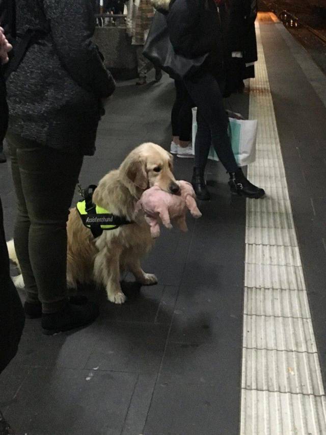Daily Picdump
