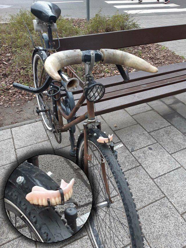 Daily Picdump