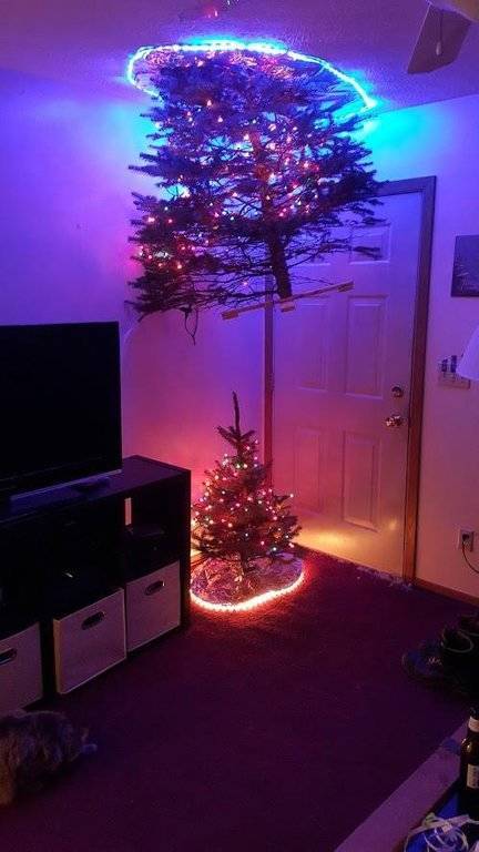 morning picdump 51 pics 14.html - 51 HD Photos | Premium Gallery 2018
