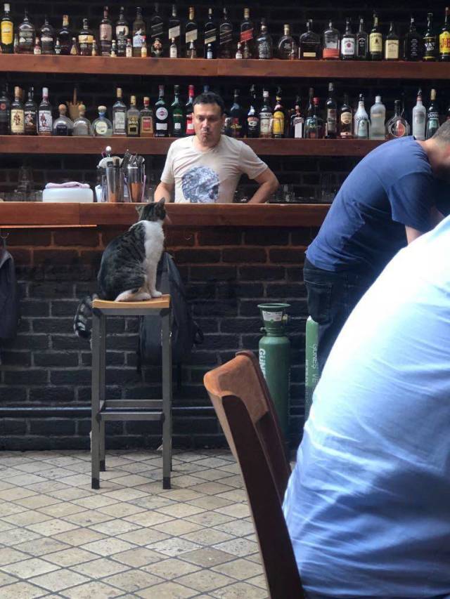 morning picdump 51 pics 7.html - 51 HD Photos | Premium Gallery 2018