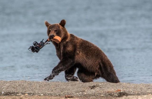 Daily Picdump