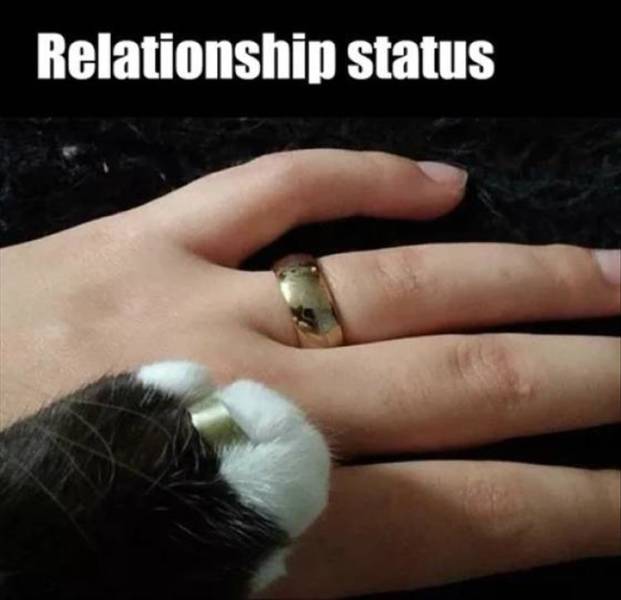 funny picdump 54 pics 2.html - 54 HD Photos | Premium Gallery 2018