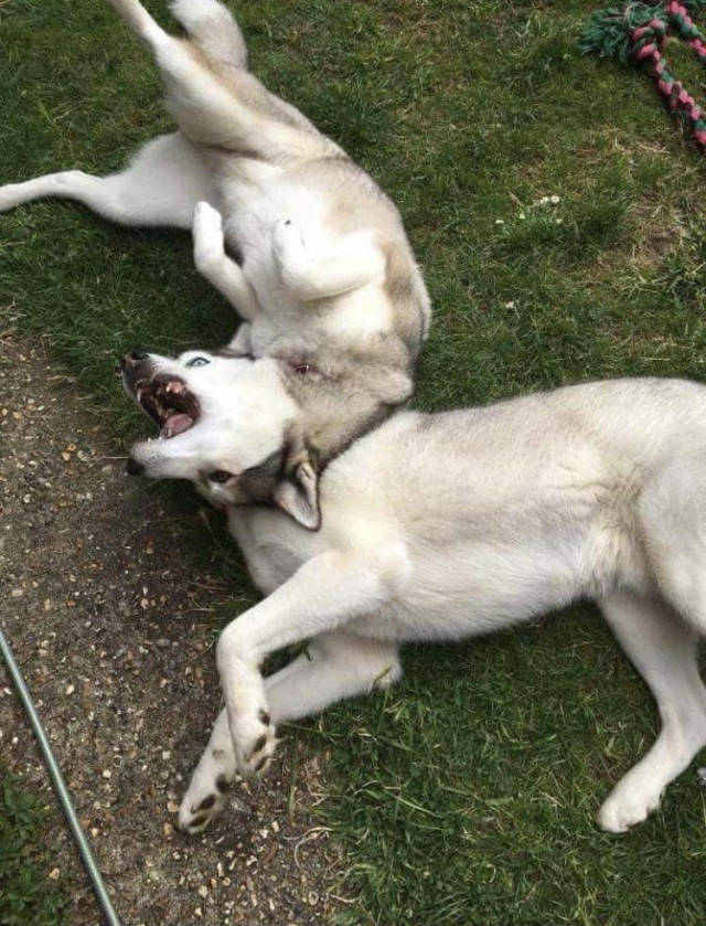 Daily Picdump [WEEKEND EDITION]