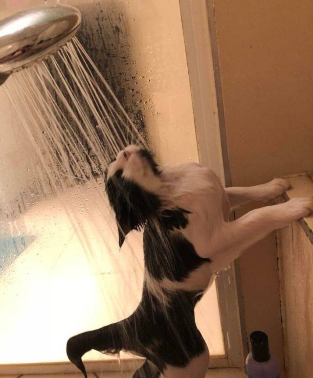 Daily Picdump