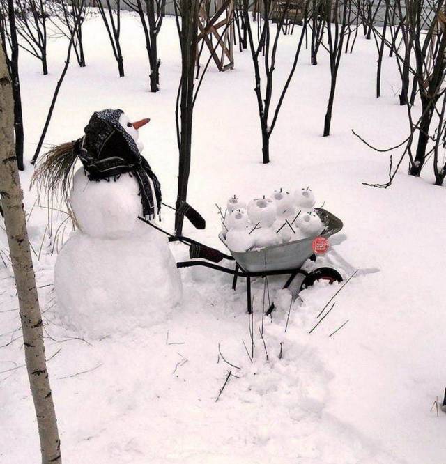 Daily Picdump