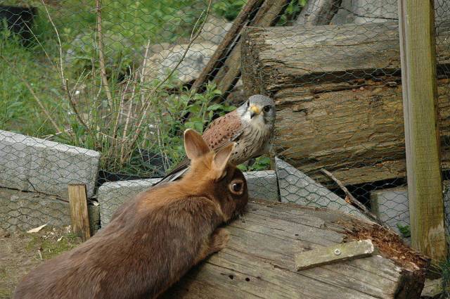 morning picdump 54 pics 10.html - 54 HD Photos | Premium Gallery 2018