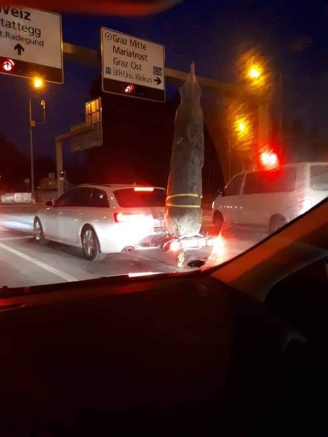 morning picdump 54 pics 10.html - 54 HD Photos | Premium Gallery 2018