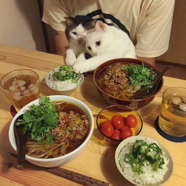 daily picdump 100 pics 29.html - 100 HD Photos | Premium Gallery 2019