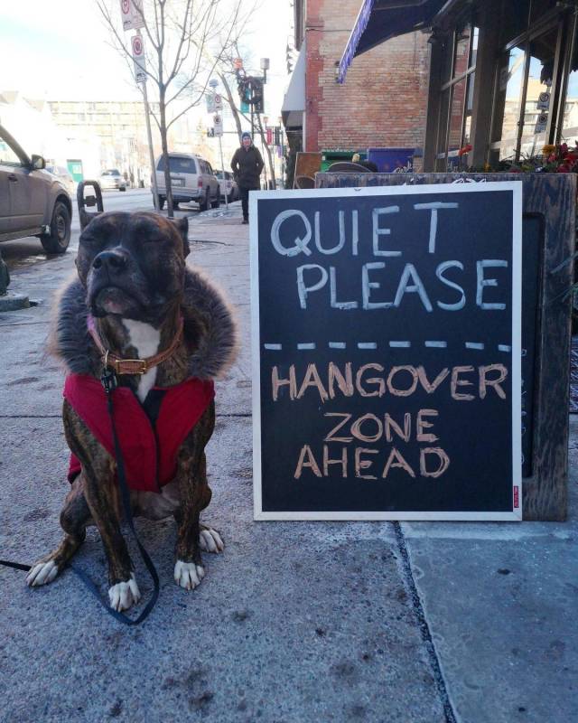 Daily Picdump