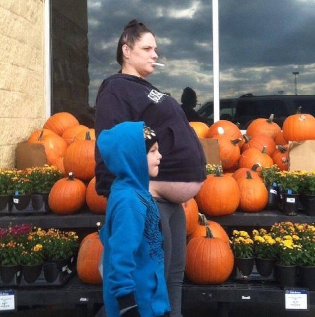 daily picdump 100 pics 29.html - 100 HD Photos | Premium Gallery 2019