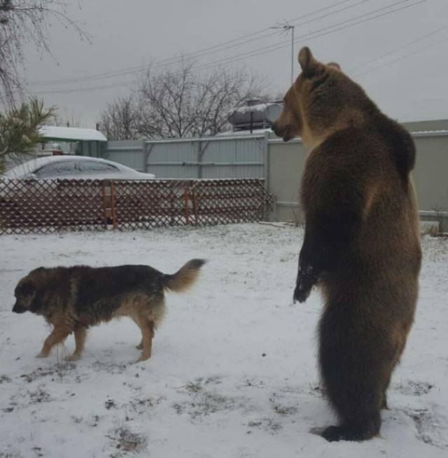 daily picdump 100 pics 29.html - 100 HD Photos | Premium Gallery 2019