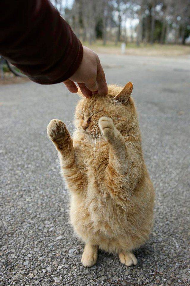 daily picdump 100 pics 29.html - 100 HD Photos | Premium Gallery 2019