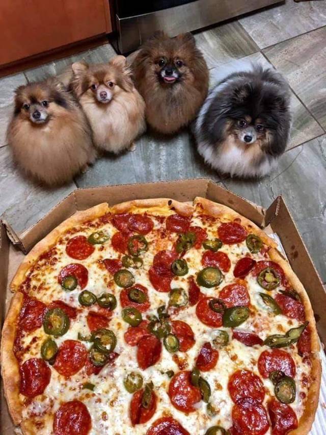 daily picdump 100 pics 29.html - 100 HD Photos | Premium Gallery 2019