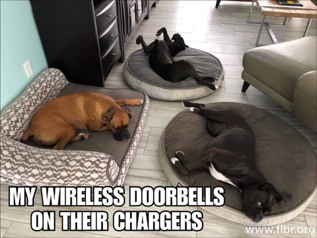 page,4,top 250 funny pics of the year 2019.html - 1 HD Photos | Premium Gallery 2019