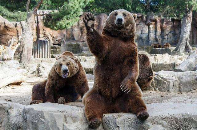 daily picdump 98 pics 45.html - 98 HD Photos | Premium Gallery 2019