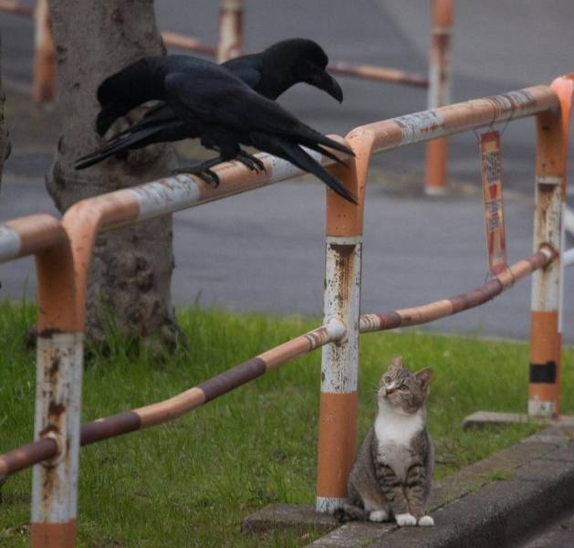 daily picdump 98 pics 45.html - 98 HD Photos | Premium Gallery 2019