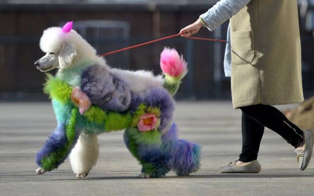 daily picdump 98 pics 45.html - 98 HD Photos | Premium Gallery 2019