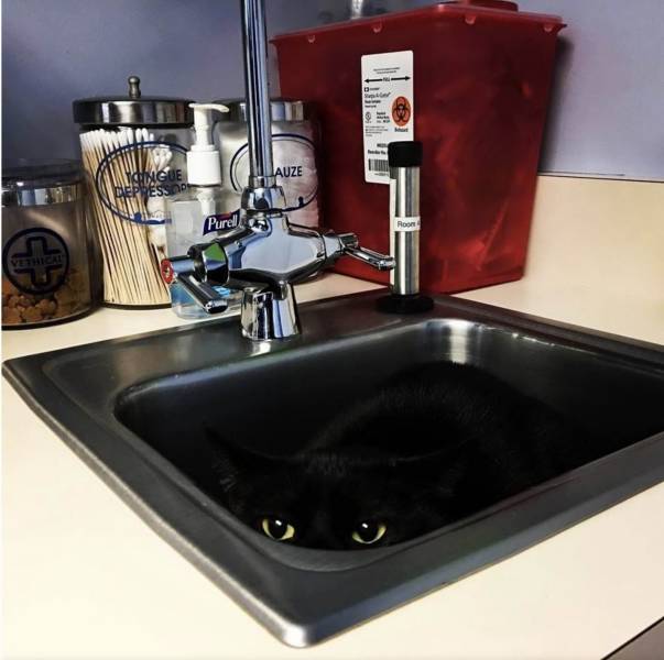 daily picdump 98 pics 45.html - 98 HD Photos | Premium Gallery 2019