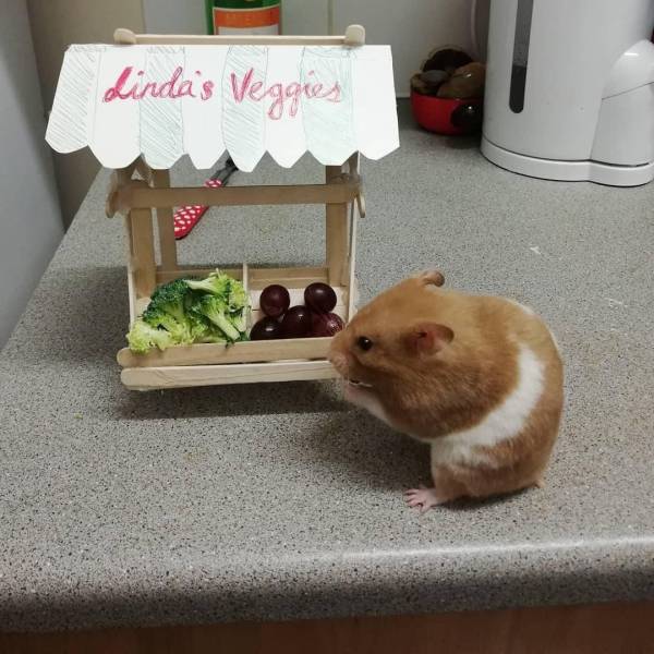 daily picdump 98 pics 45.html - 98 HD Photos | Premium Gallery 2019