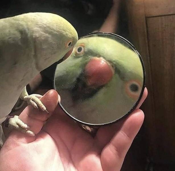 daily picdump 98 pics 45.html - 98 HD Photos | Premium Gallery 2019