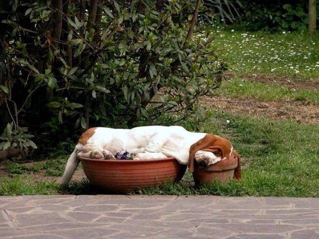 daily picdump 98 pics 45.html - 98 HD Photos | Premium Gallery 2019