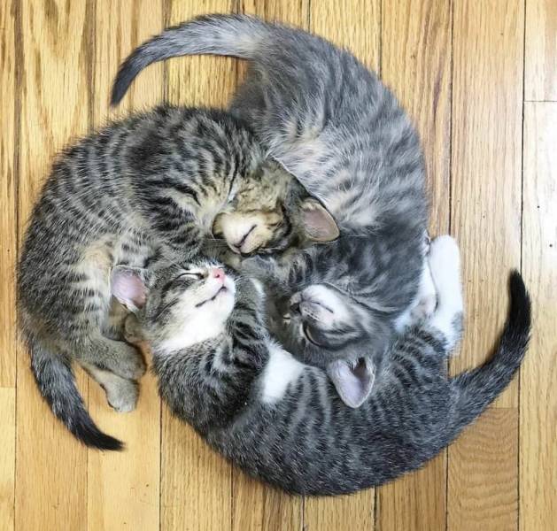 daily picdump 98 pics 45.html - 98 HD Photos | Premium Gallery 2019