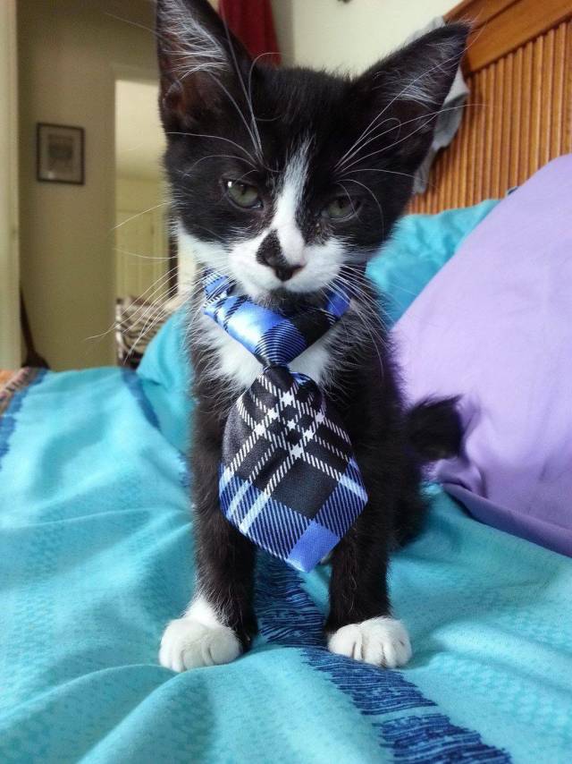 daily picdump 98 pics 45.html - 98 HD Photos | Premium Gallery 2019