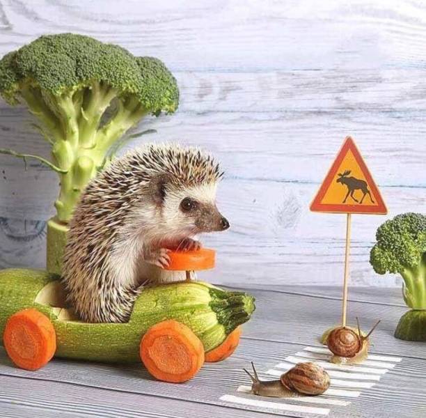 Daily Picdump