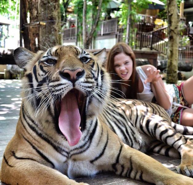 daily picdump 96 pics 8.html - 96 HD Photos | Premium Gallery 2019