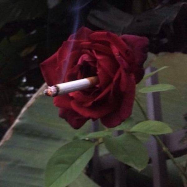Hard-to-explain WTF Photos