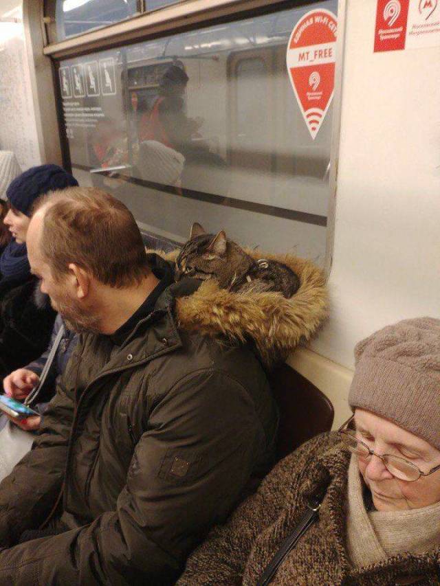 Hard-to-explain WTF Photos