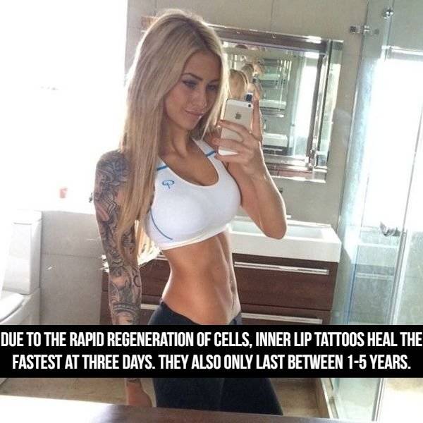 Masterfully Inked Tattoo Facts