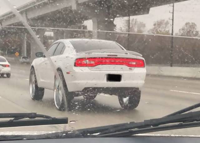 daily picdump 87 pics 11.html - 87 HD Photos | Premium Gallery 2019