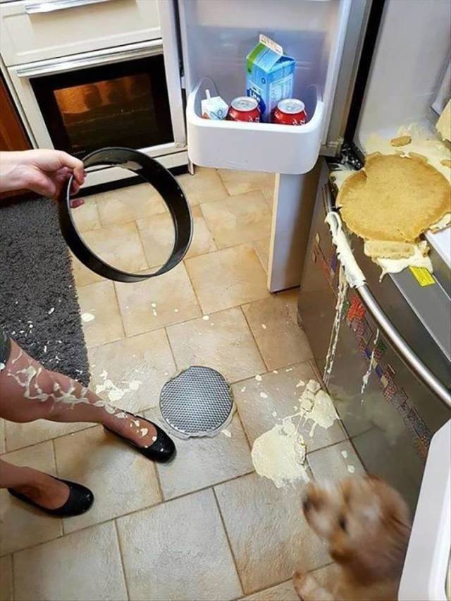 daily picdump 87 pics 11.html - 87 HD Photos | Premium Gallery 2019