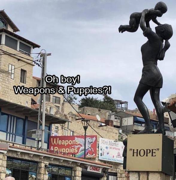 funny picdump 57 pics 3.html - 57 HD Photos | Premium Gallery 2019
