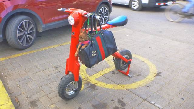 morning picdump 52 pics 3.html - 52 HD Photos | Premium Gallery 2019