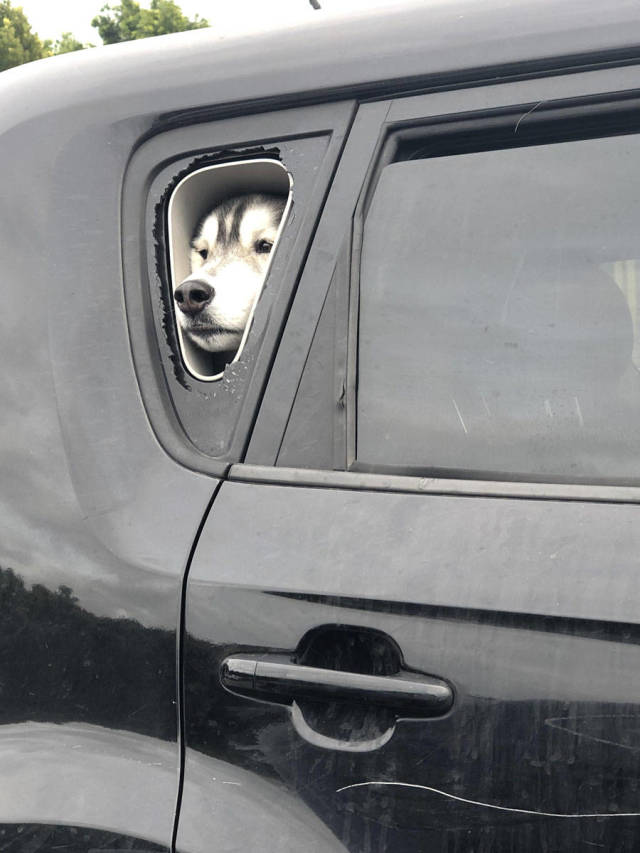Morning Picdump