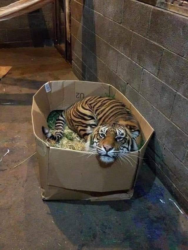 morning picdump 52 pics 3.html - 52 HD Photos | Premium Gallery 2019