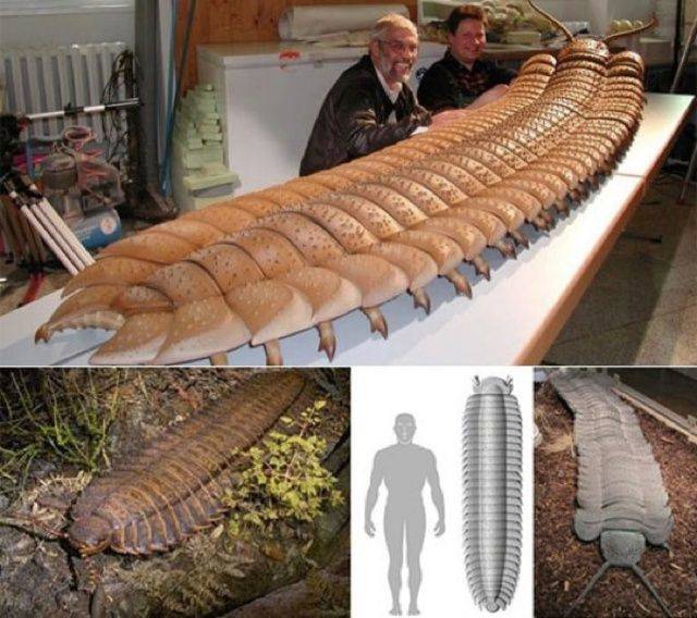 daily picdump 105 pics 10.html - 105 HD Photos | Premium Gallery 2019