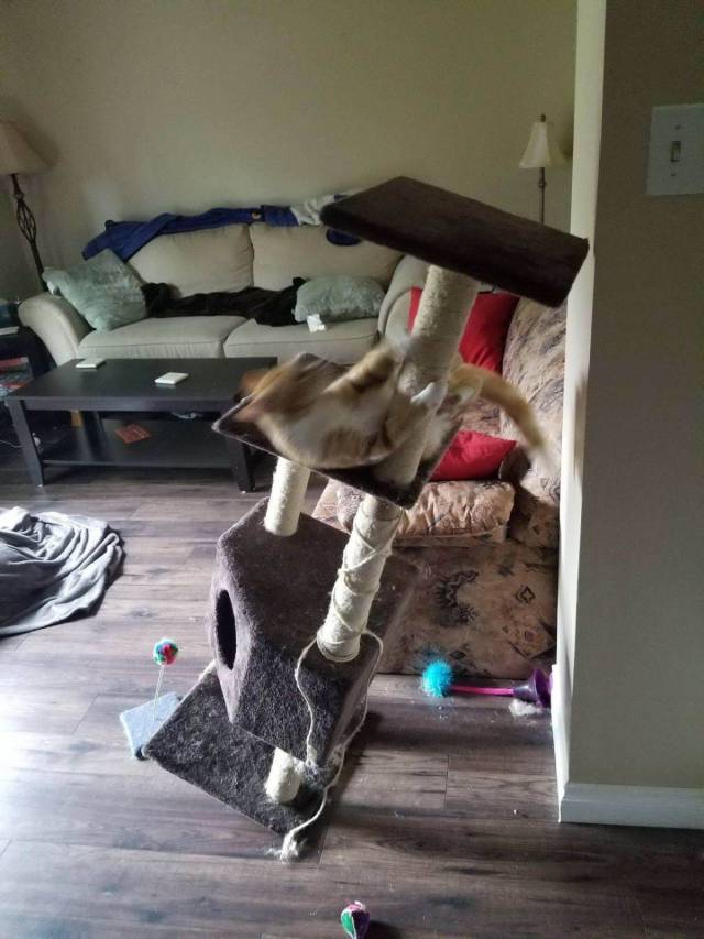 Daily Picdump