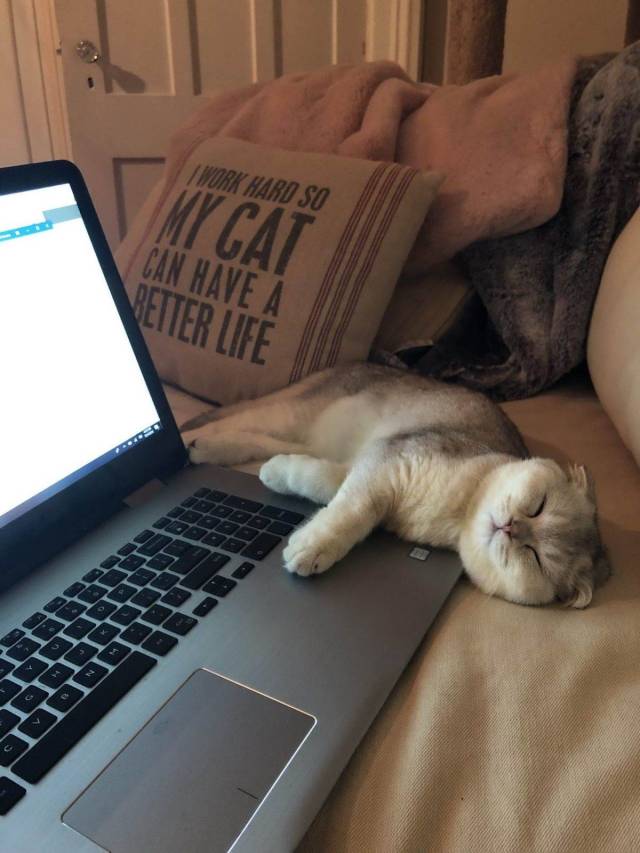 daily picdump 105 pics 10.html - 105 HD Photos | Premium Gallery 2019
