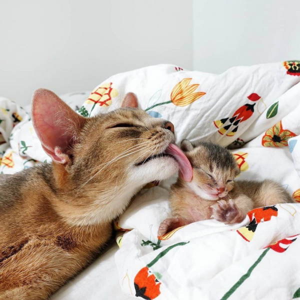 daily picdump 81 pics 11.html - 81 HD Photos | Premium Gallery 2019