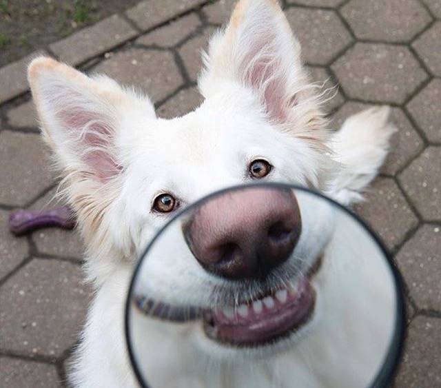 daily picdump 81 pics 11.html - 81 HD Photos | Premium Gallery 2019