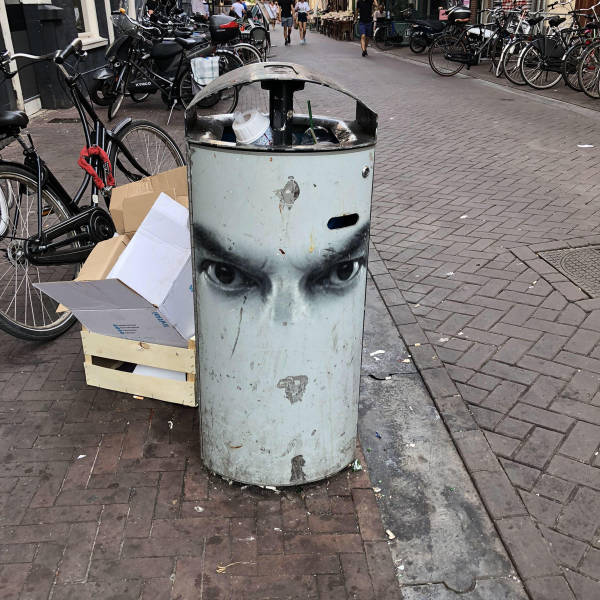 Morning Picdump