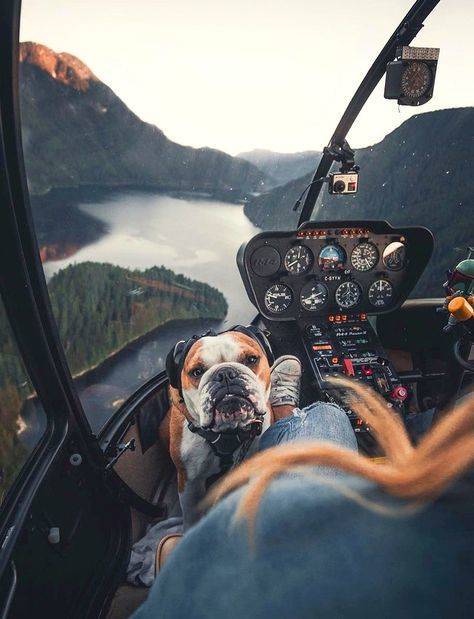 morning picdump 54 pics 14.html - 54 HD Photos | Premium Gallery 2019