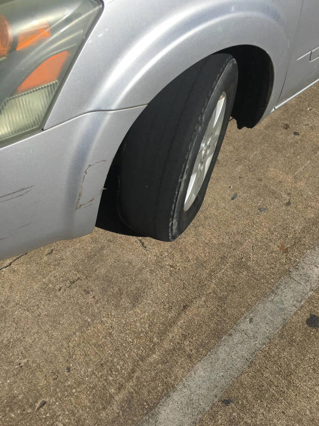 morning picdump 54 pics 14.html - 54 HD Photos | Premium Gallery 2019