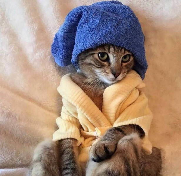 daily picdump 101 pics 3.html - 101 HD Photos | Premium Gallery 2019