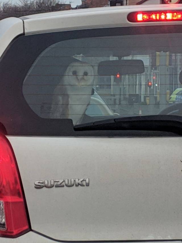 daily picdump 101 pics 3.html - 101 HD Photos | Premium Gallery 2019