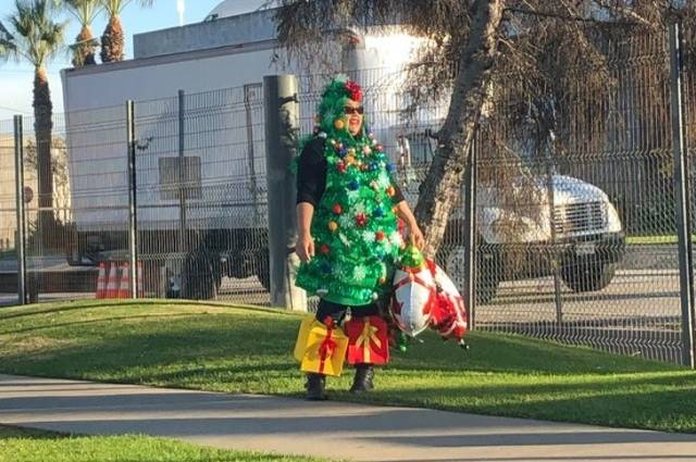 daily picdump 101 pics 3.html - 101 HD Photos | Premium Gallery 2019