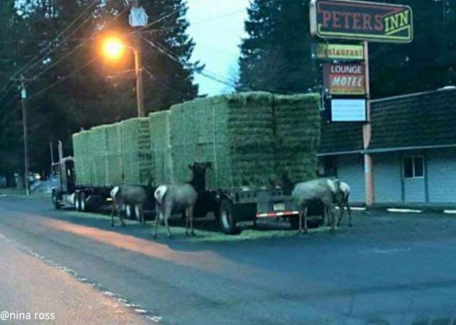Morning Picdump